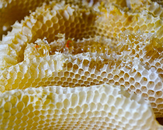 Beeswax in skincare